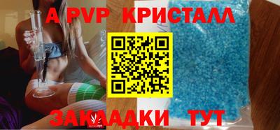 индика Кингисепп