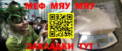 индика Кингисепп