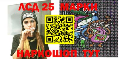 индика Кингисепп