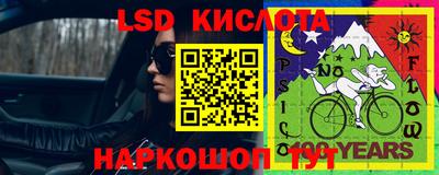 индика Кингисепп