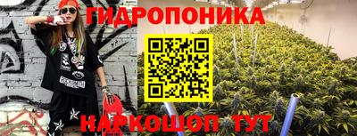 индика Кингисепп