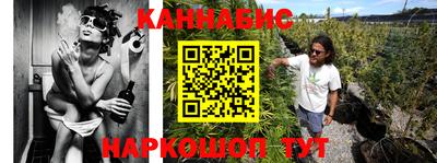 индика Кингисепп