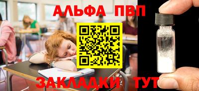 индика Кингисепп