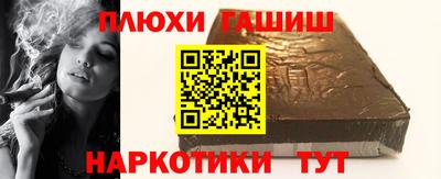 индика Кингисепп